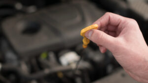 a closeup of a mechanic checking engine oil car fluid